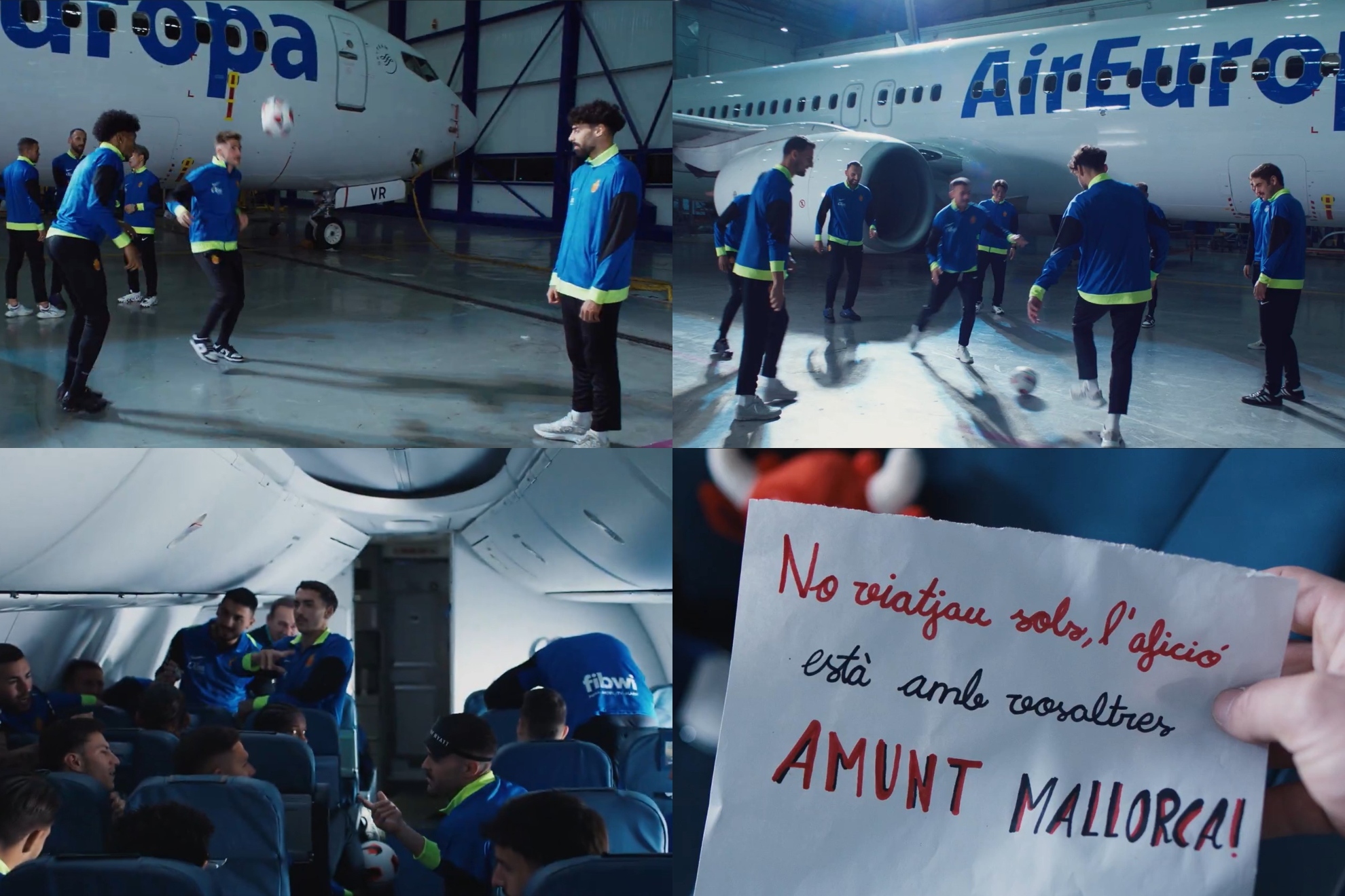 也为公牛的 也为公牛的